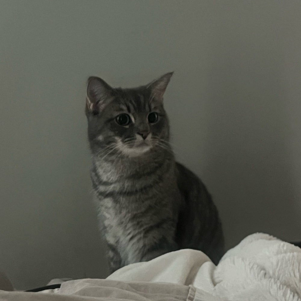 Meet your Posher, Susan